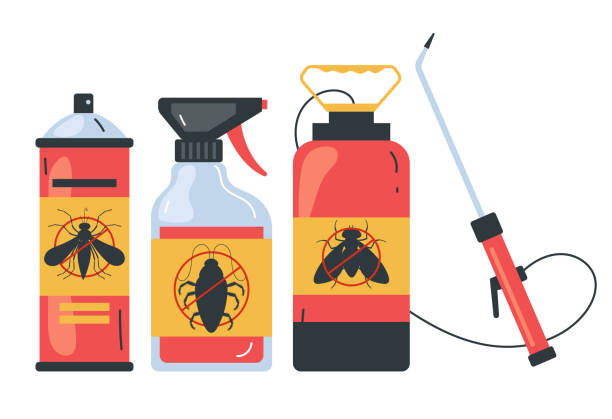  El Lago, TX Pest Control Pros