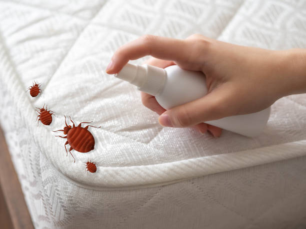 Best Best Pest Control Near Me  in El Lago, TX
